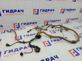Проводка подкапотная Lada Granta 8450102742