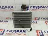 Испаритель кондиционера Lada Granta 21900811601410
