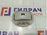 Плафон салонный Lada Granta 11183714014