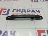 Ручка потолочная Lada Granta 21108202010