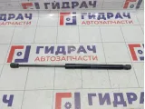 Амортизатор капота Lada Granta 99999219103300