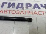Амортизатор капота Lada Granta 99999219103300