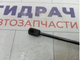 Амортизатор капота Lada Granta 99999219103300
