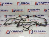 Проводка подкапотная Lada Granta 21903724010