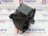 Корпус воздушного фильтра Lada Granta 21900110901000