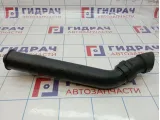Патрубок воздушного фильтра Lada Granta 21901109302