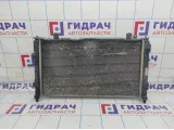 Радиатор основной Lada Granta 2190130001001