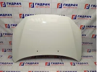 Капот Lada Granta 21908402010