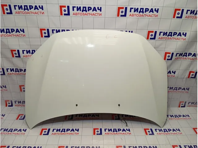 Капот Lada Granta 21908402010