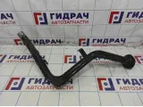 Горловина топливного бака Lada Granta 21900110106000