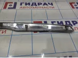 Молдинг решетки радиатора Lada Granta 21902803242