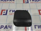 Заглушка топливного насоса Lada Granta 1118510141210