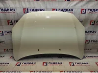 Капот Lada Granta 21900840201070