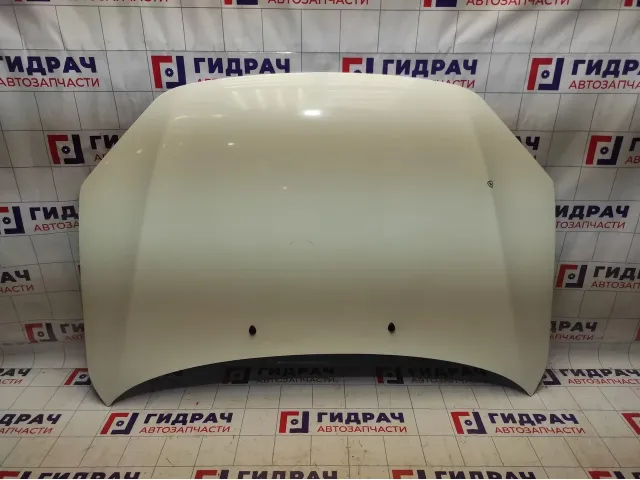 Капот Lada Granta 21900840201070