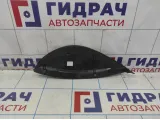 Накладка торпедо правая с торца Lada Granta 21905325134