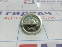 Болт крепления запасного Lada Granta 21100310504200