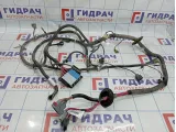 Проводка (коса) подкапотная Lada Granta 2190372401010