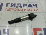 Катушка зажигания Lada Granta 21120370501012