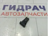 Кнопка обогрева стекла переднего Lada Granta 8450002902