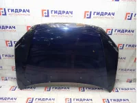Капот Lada Granta 21900840201070