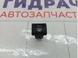 Кнопка обогрева стекла заднего Lada Granta 21700371002000