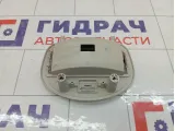 Плафон салонный Lada Granta 11183714014