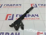 Рычаг, педаль стояночного тормоза Lada Granta 11180350801000