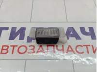 Плафон салонный Lada Granta