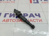 Катушка зажигания Lada Granta 2112370501012