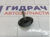 Крепление (болт) запасного колеса Lada Granta