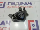 Ручка двери внутренняя передняя левая Lada Granta 21906105181