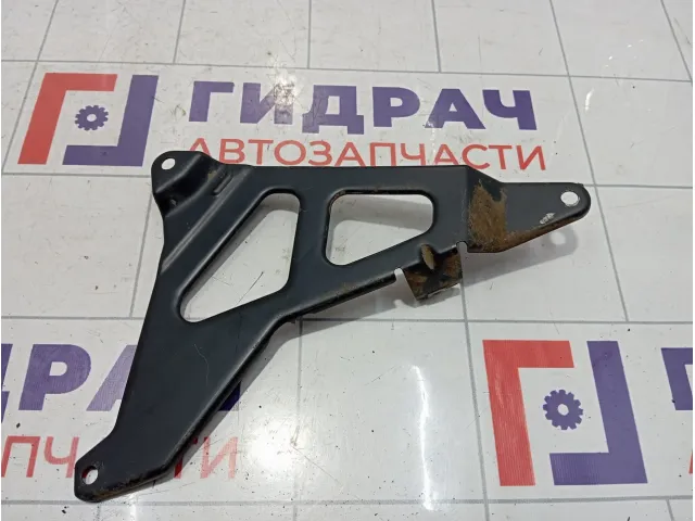 Кронштейн двери передний левый Lada Granta 11180610232310