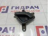 Ручка двери внутренняя задняя левая Lada Granta 21906205181