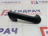Ручка двери внутренняя задняя левая Lada Granta 21906202187