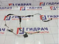 Проводка задней правой двери Lada Granta 21900372454600