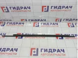 Накладка стекла заднего правого Lada Granta 21910620329000