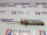 Амортизатор задний Lada Granta 2190291500451