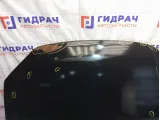 Капот Lada Granta 21900840201070
