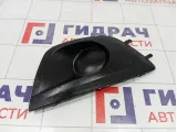 Заглушка бампера передняя правая Lada Granta 21912803102