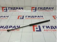 Амортизатор крышки (двери) багажника Lada Granta 21918231015