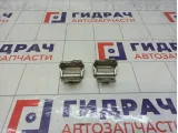 Петли двери багажника Lada Granta 2191630601000