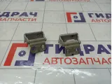 Петли двери багажника Lada Granta 2191630601000