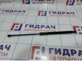 Амортизатор крышки багажника Lada Granta 21918231015