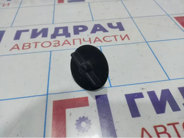 Болт крепления запасного колеса Lada Granta 2170310504000