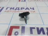 Болт крепления запасного колеса Lada Granta 2170310504000