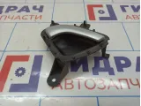 Ручка двери задней внутренняя правая Lada Granta 21906205180