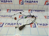 Проводка двери передней правой Lada Granta 21912372454400