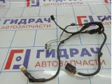 Проводка двери задней Lada Granta 21902372454600