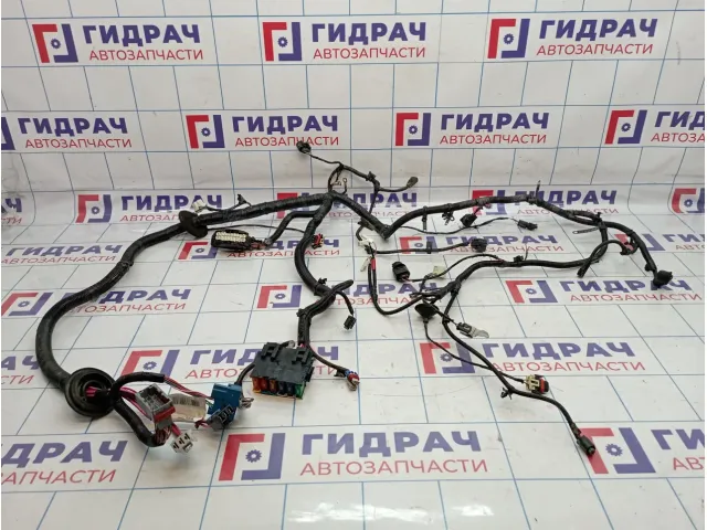 Проводка (коса) подкапотная Lada Granta 21912372401000