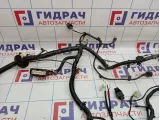 Проводка (коса) подкапотная Lada Granta 21912372401000